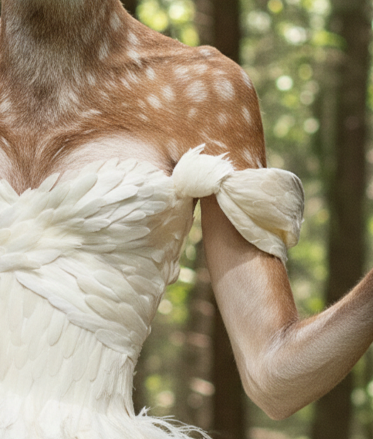 Vestido de Penas - Detalhe do busto